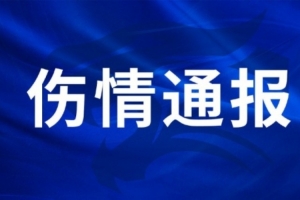 最新球帝APPAPP下載直播_最新球帝APPAPP下載直播在線觀看_免費看直播