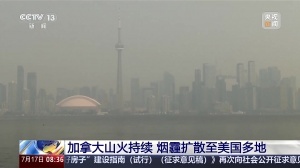 最新賽季蜘蛛足球進(jìn)球集錦_最新賽季蜘蛛足球進(jìn)球集錦在線觀看_免費(fèi)看直播