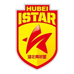 湖北青年星隊徽