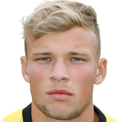 范霍伊東克
